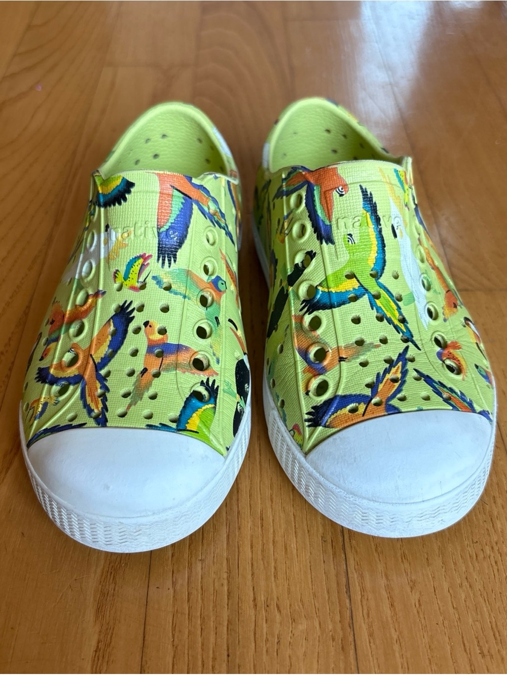 Native Jefferson Sugarlite Shoes Celery Green parrot motif Toddler Boys Girls C9